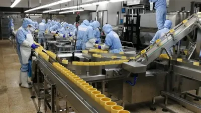 Empacotadora automática de sachês YL-10SR