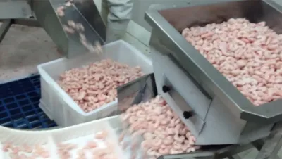 Embalagem para camarão congelado